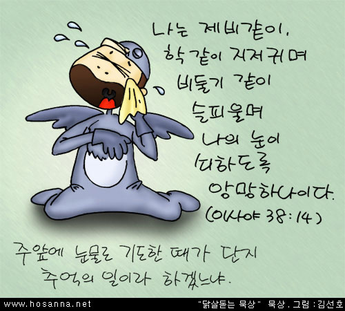 cf519d647bfd50ded425e60346ea4ddc.jpg
