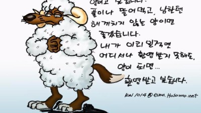 닭묵