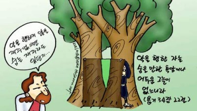 닭묵